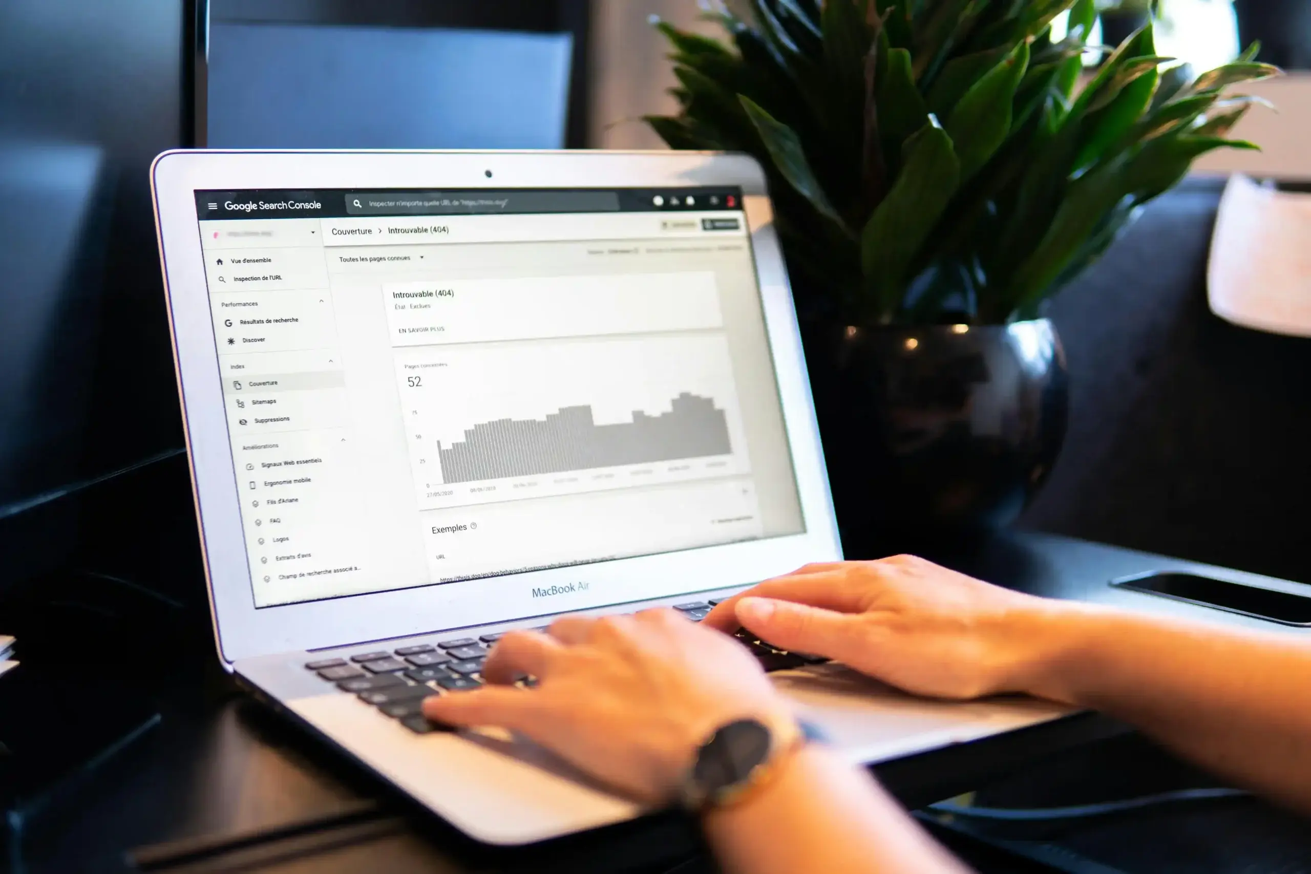 Why SEO Services Are Critical